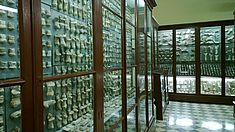 Höhlen in Malta und Gozo