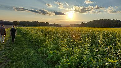 Wanderung über Wiese