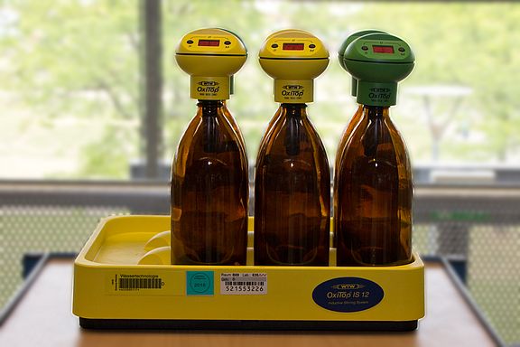 Bei der BSB-Messung wird der biologische Sauerstoffbedarf (BSB) ermittelt.