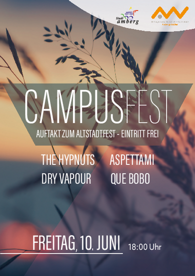 Flyer Campusfest