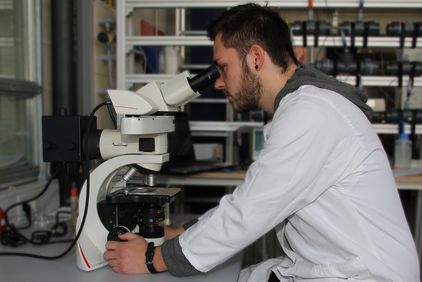 Ein Student erforscht eine Probe durch ein Mikroskop.