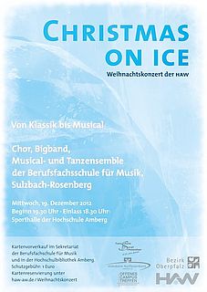 In der HAW wird's winterlich: Die Berufsfachschule für Musik aus Sulzbach Rosenberg präsentiert am Mittwoch, 19. Dezember, 2012 in der Sporthalle der Hochschule Amberg ein genreübergreifendes Programm von Klassik bis Musical. Unter dem Motto „Christm