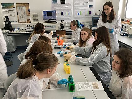 Die Schülerinnen identifizierten Bakterien.