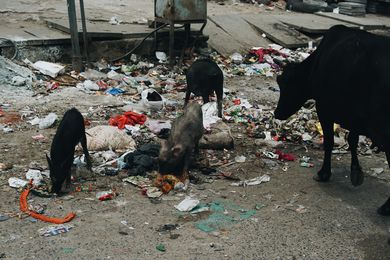 Müll auf den Straßen Indiens