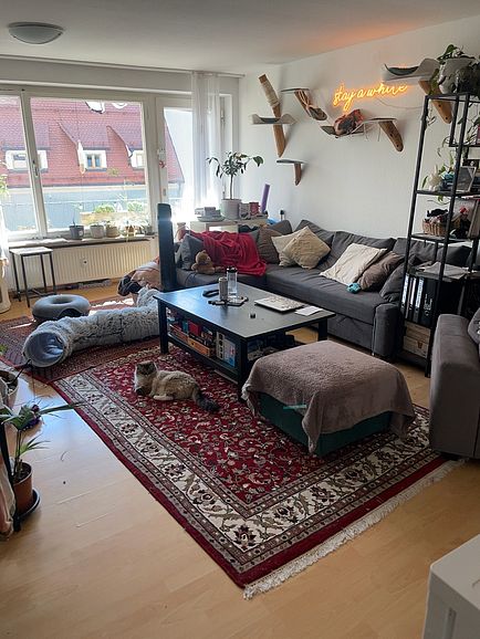 Zimmer mit großen fenstern, Couch und couch tisch 