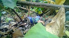 Umweltverschmutzung Malta