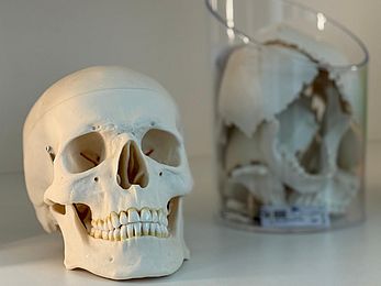 WhatsApp Image 2026-03-17 at 09.36.26.jpeg