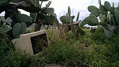 Umweltverschmutzung Malta