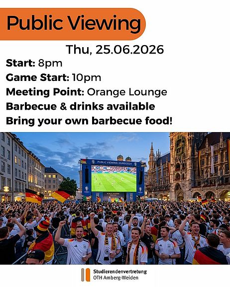 Public Viewing, all information in the text