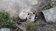 Umweltverschmutzung Malta