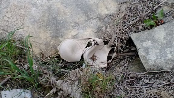 Umweltverschmutzung Malta
