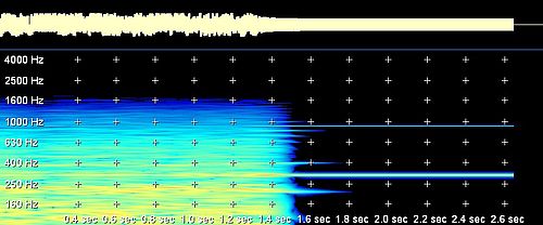 Spectrogram Transient Chaos