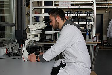 Ein Student untersucht eine Probe unter dem Mikroskop. 