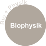 Biophysik